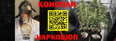спайс Гусев