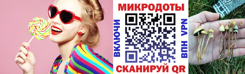 omg tor  Нижнеудинск  Галлюциногенные грибы прущие грибы 