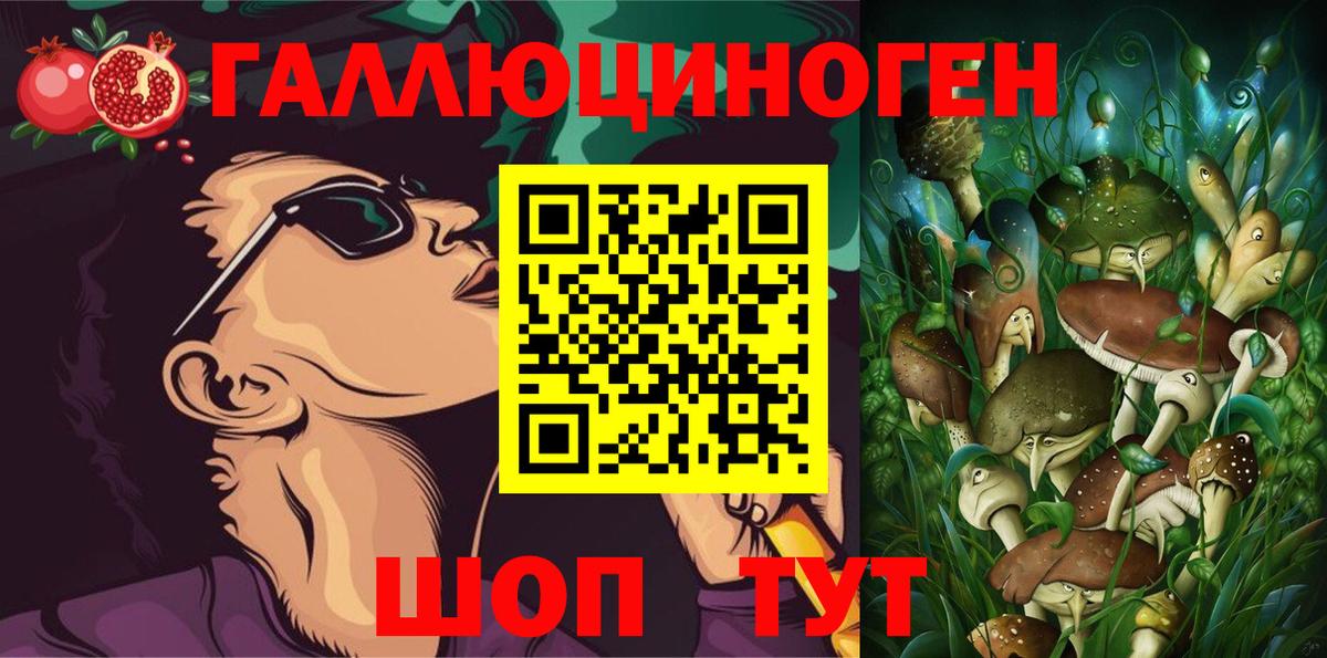 Псилоцибиновые грибы GOLDEN TEACHER  Вход с VPN  Нижнеудинск 