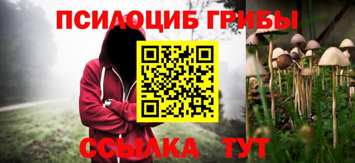 Галлюциногенные грибы GOLDEN TEACHER Нижнеудинск